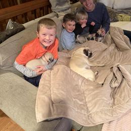Pug Puppies from Sweet Mercy Farm