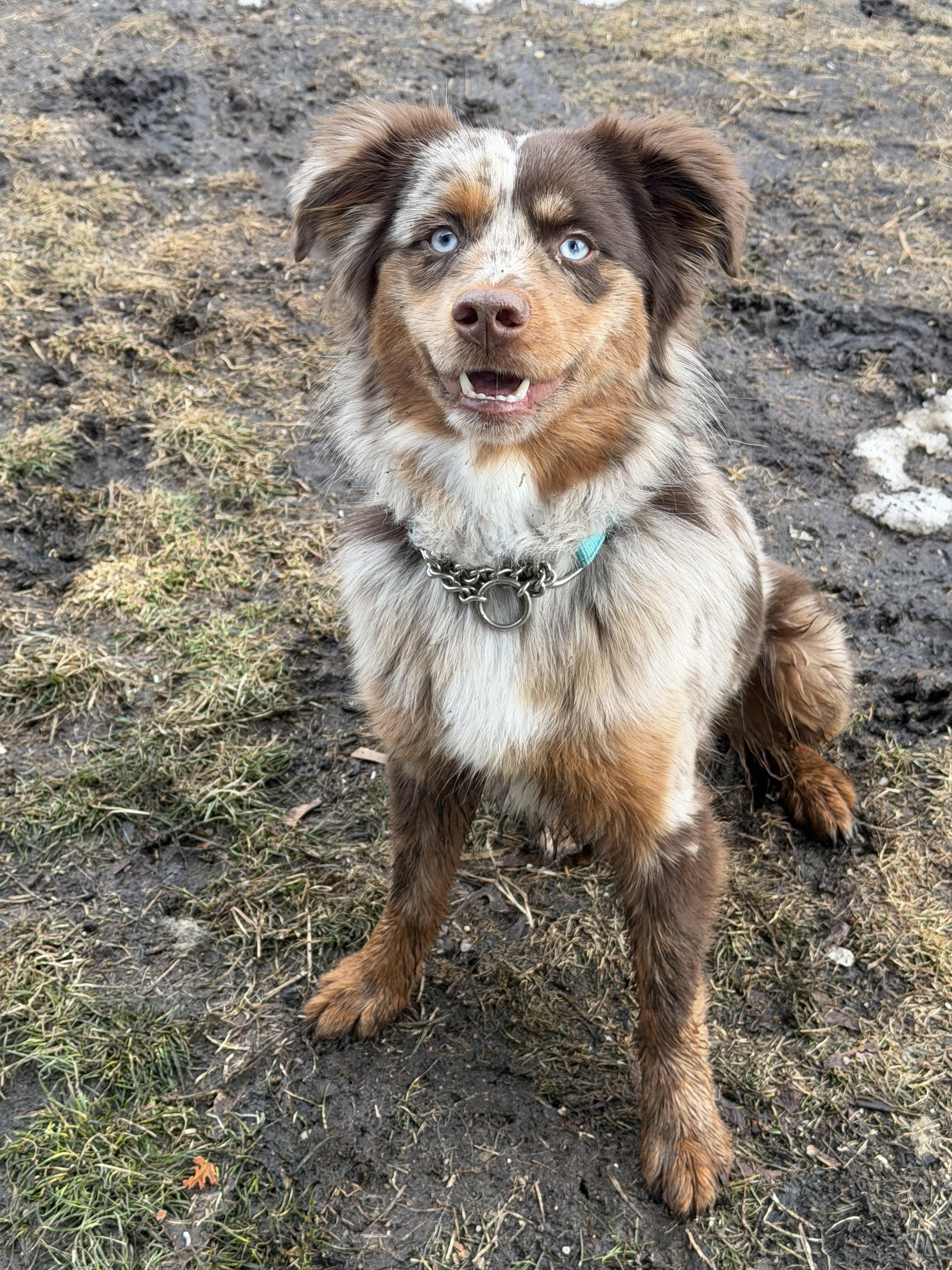 Nash