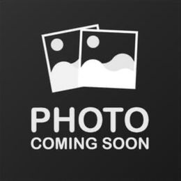 Kali - Black and tan female German Shepherd puppy in Florida from Best Shepherds