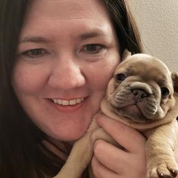 French Bulldog Puppies from Jessie's Frenchies
