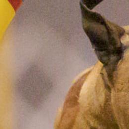 Bullmastiffs from Bullmastiffs