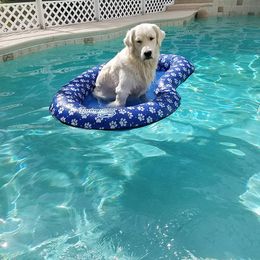 Golden Retriever All Grown Up from Camp Rezy