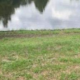 Aussiedoodle and Goldendoodle All Grown Up from Hunting Creek Kennels