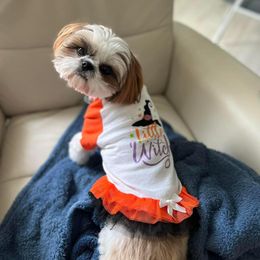 Shih Tzu All Grown Up from Shih Tzu Jewels of Cocoa