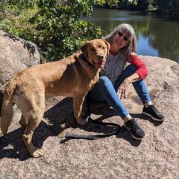 Dilute Retrievers and Labrador Retrievers from True Hart Labs
