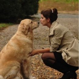 Golden Retrievers from Carova Golden Retrievers
