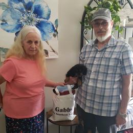 Basset Hound and Dachshund Puppies from V's Southern Angels