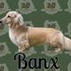 Banx