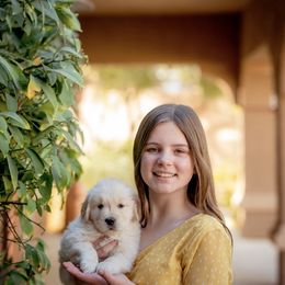 Golden Retriever Puppies from Geaux Dog