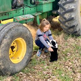 Miniature Australian Shepherd Puppies from Garrett’s Ridge Farm