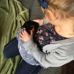 Bernedoodle Puppies from Better Day Bernedoodles