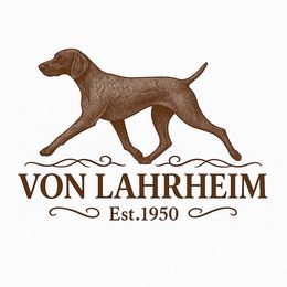 Not available - Liver and white male German Shorthaired Pointer puppy in Fairfield, California from Von Lahrheim Shorthairs & Ermali Chis