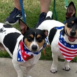 Teddy Roosevelt Terriers from Exile Teddy Roosevelt Terriers