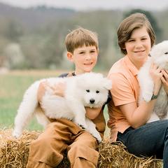 Berger Blanc Suisses from Edelweiss Berger Blanc Suisse