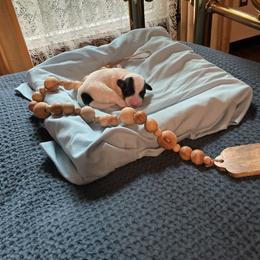Popsicle - White and black male Tibetan Terrier puppy in Virginia from Tripitaka