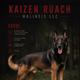 Sarge of Kaizen Ruach