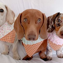 Dachshunds from Mendez’s Dachshunds