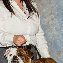 Snicks - Bulldog