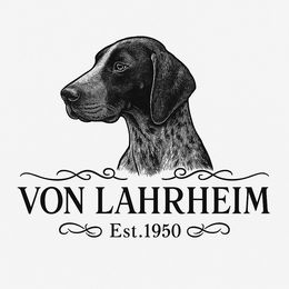 Imma - Liver and white female German Shorthaired Pointer puppy in Fairfield, California from Von Lahrheim Shorthairs & Ermali Chis