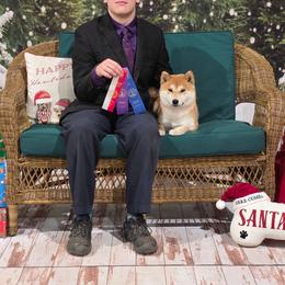 Haylie - Shiba Inu