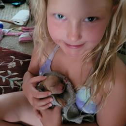 Goldendoodle Puppies from 3 Willows Goldendoodles