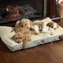 Jenny - Parti female Goldendoodle puppy in Yellville, Arkansas from Ozark Mountain Doodles & Pugs