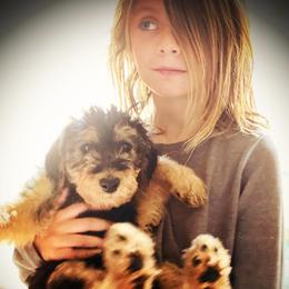 Airedale Terrier Puppies from Mar Vista
