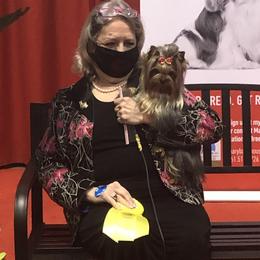 Yorkshire Terrier Puppies from Sassyville Yorkies