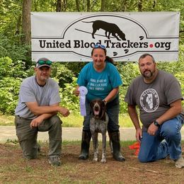 German Shorthaired Pointers from Apple River Sporting and Detection Dogs
