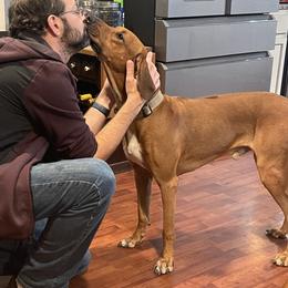 Na - Rhodesian Ridgeback