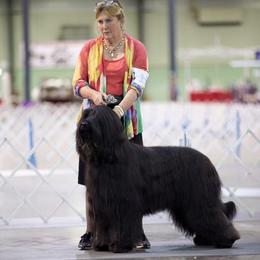 Briard Puppies from Sendero Briards