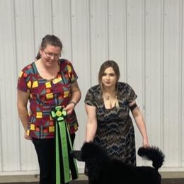 Poodle All Grown Up from Purley Poodles