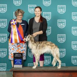 Glow - Silken Windhound