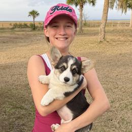 Trixie - Pembroke Welsh Corgi