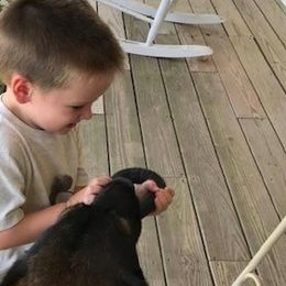 German Shepherds from T'S SHEPHERDS