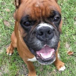 Boxers from Christian's Boxers