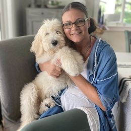 Bernedoodle, Cavapoo, and Goldendoodle All Grown Up from Huckadoodle Farm