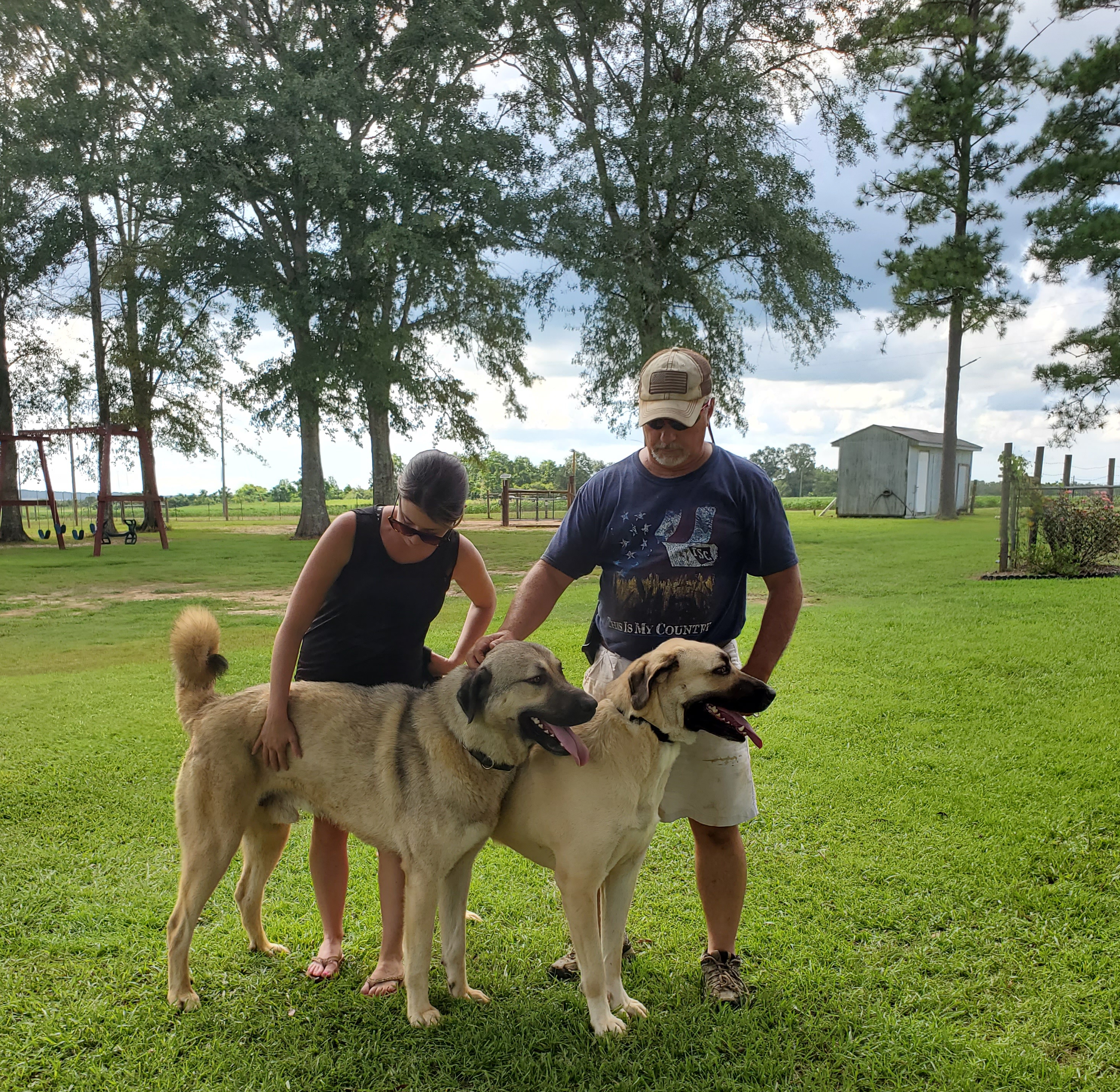 TOKHAN - Kangal