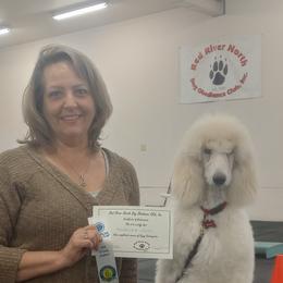 Havanese and Poodle Puppies from Ali-Ann Standard Poodles