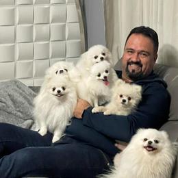 Pomeranian Puppies from POMERLAND exotic Pomeranians of Orlando