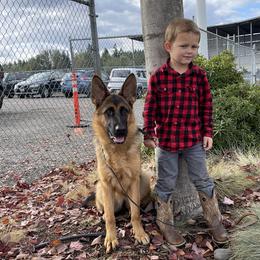 River - German Shepherd