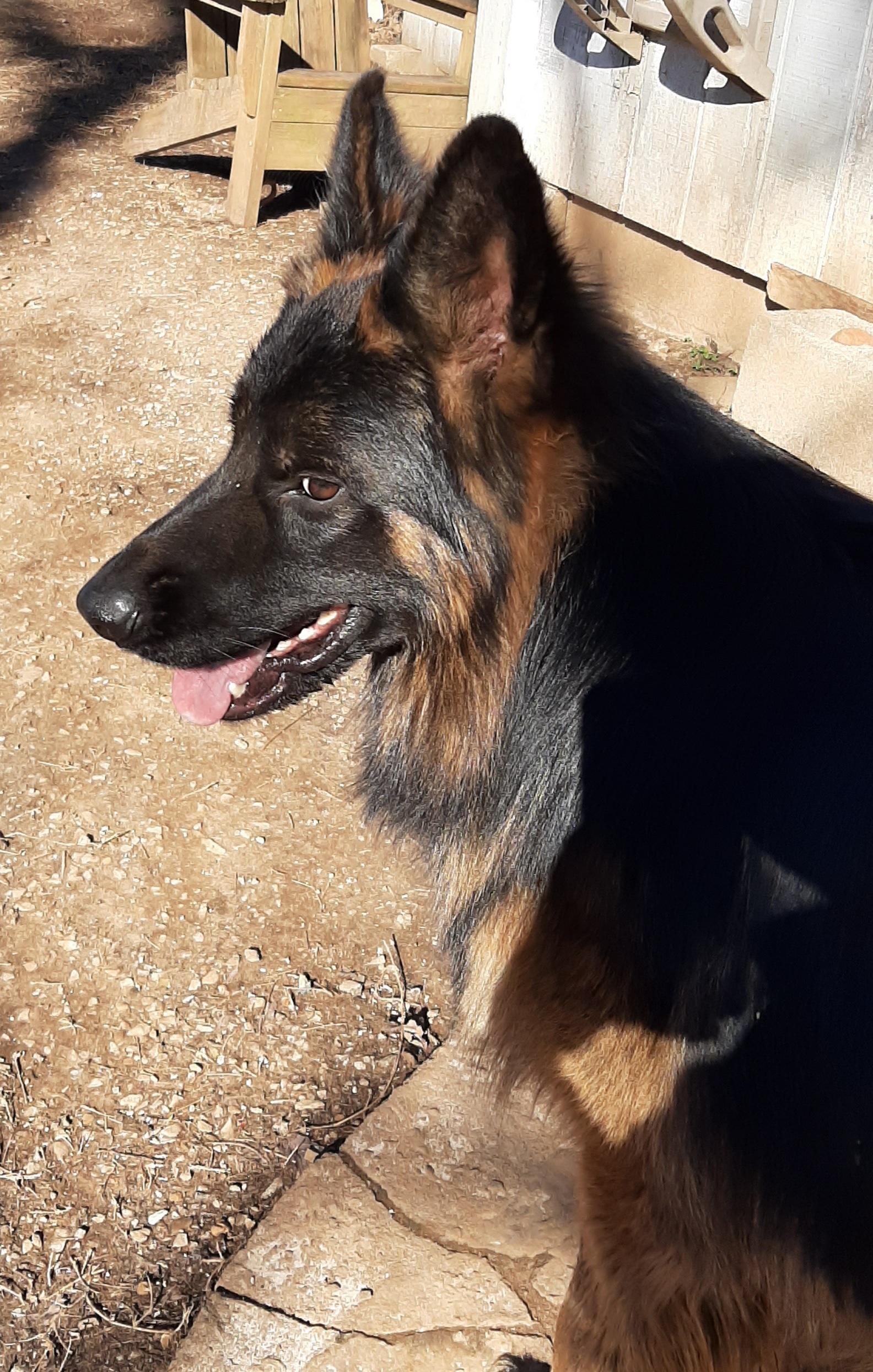 Kyros