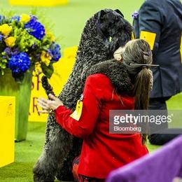 Kerry Blue Terriers from Cross the Rubicon