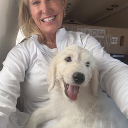 Goldendoodle, Golden Retriever, Poodle, and Shih Tzu Puppies from Platinum Paws Puppies
