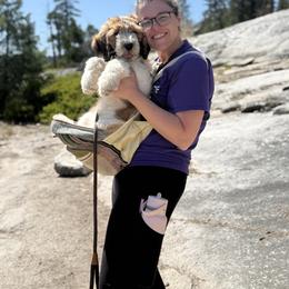 Saint Berdoodle Puppies from Country Manor Saint Berdoodles