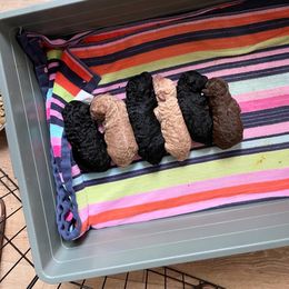 Labradoodle Puppies from Jazzy's Doodles