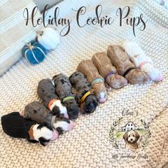 Australian Mountain Doodle puppies from Olive’s Little Farmhouse Doodles