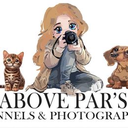 Bree-Pending Evaluation - Red female Dachshund puppy in Auxvasse, Missouri from Above Par Kennels