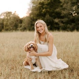 Willow - Goldendoodle