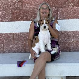 Australian Cattle Dogs and Russell Terriers from Karson Russell Terriers & Mystic DK Australian Cattle Dogs